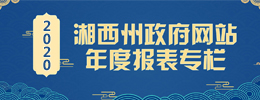 政府网站2020年度报表专栏