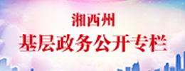 基层政务公开专栏