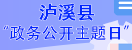 政务公开主题日