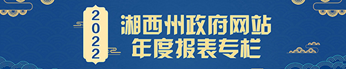 政府网站2022年度报表专栏